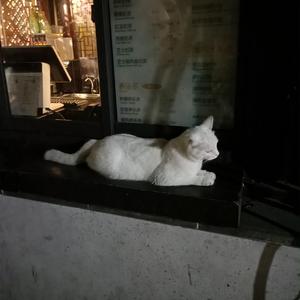 综合三级在线视频
